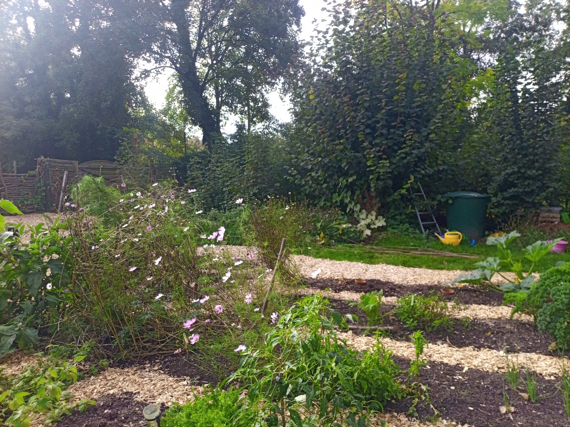 Bild zur Veranstaltung