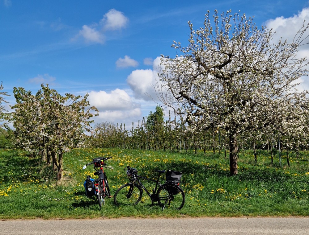 Bild zur Veranstaltung