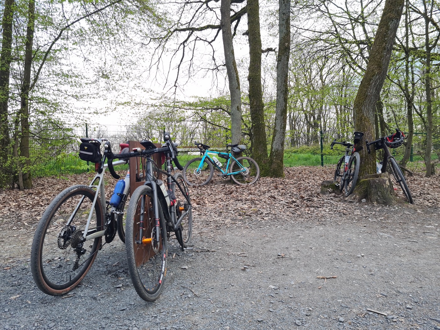 Bild zur Veranstaltung